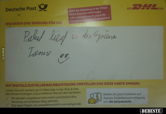 Paket liegt in der grünen Tanne... - Lustige Bilder | DEBESTE.de