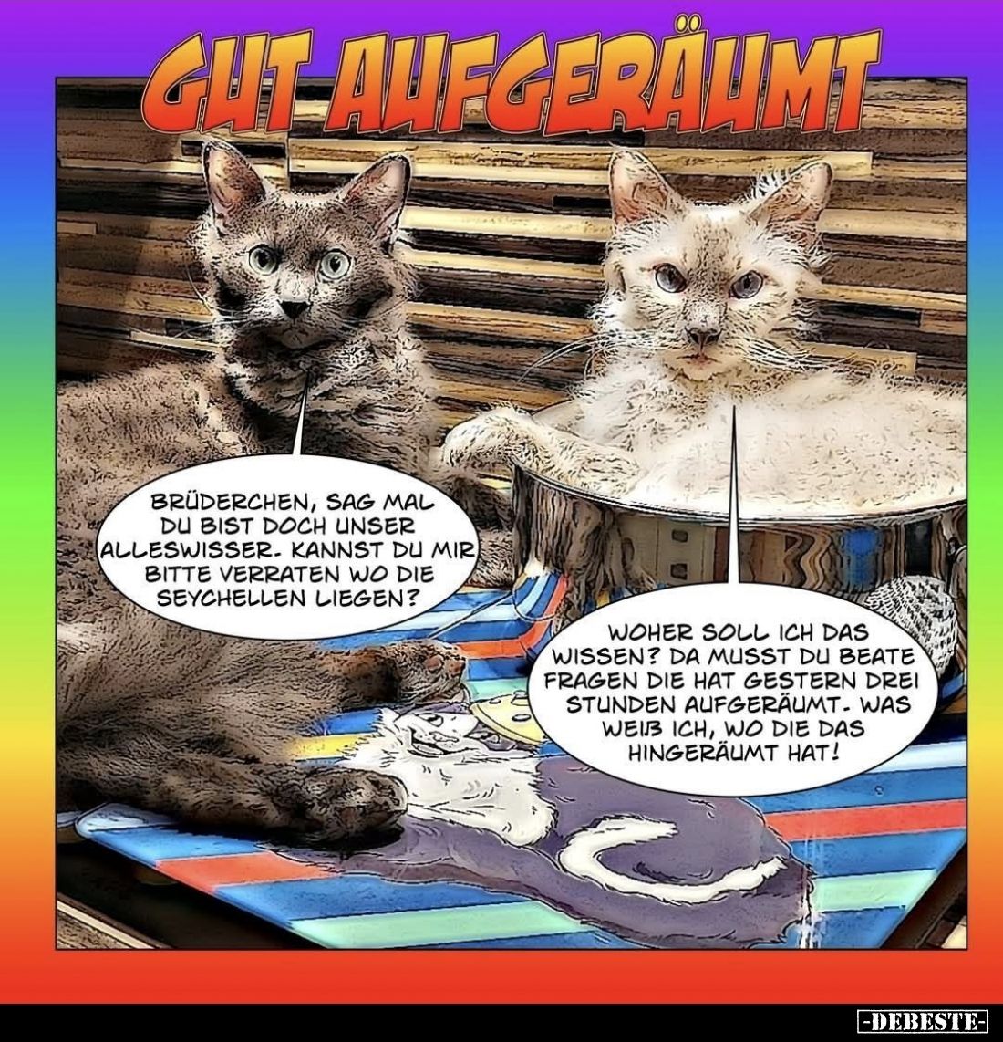 Gut aufgeräumt. -
Brüderchen, sag mal du bist doch unser Alleswisser. Kannst du mir bitte verraten wo die Seychellen liegen?...