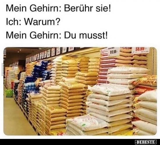 Mein Gehirn: Berühr sie!..