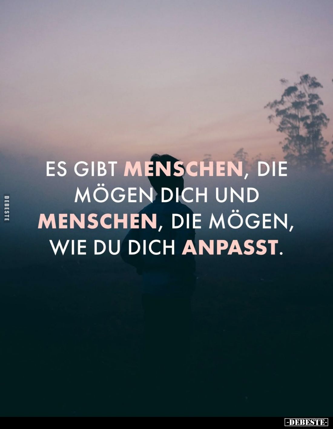 Es gibt Menschen, die mögen dich und Menschen, die mögen, wie du dich anpasst.