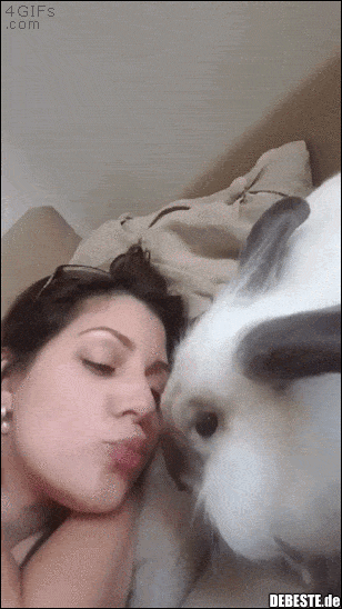  - Lustige Bilder | DEBESTE.de