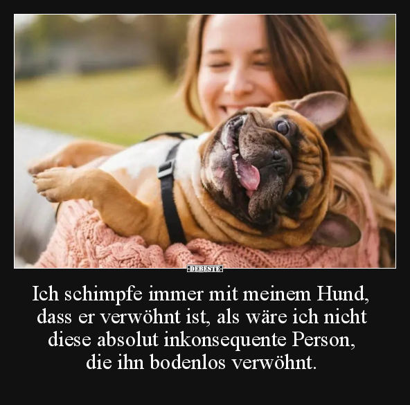 Ich schimpfe immer mit meinem Hund, dass er verwöhnt ist.. - Lustige Bilder | DEBESTE.de