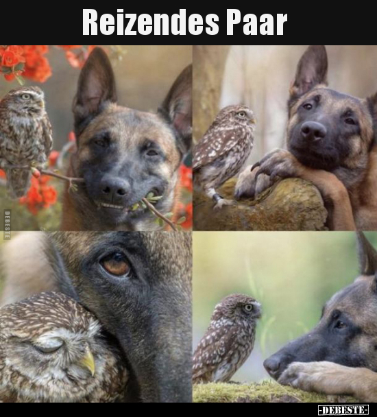 Reizendes Paar..