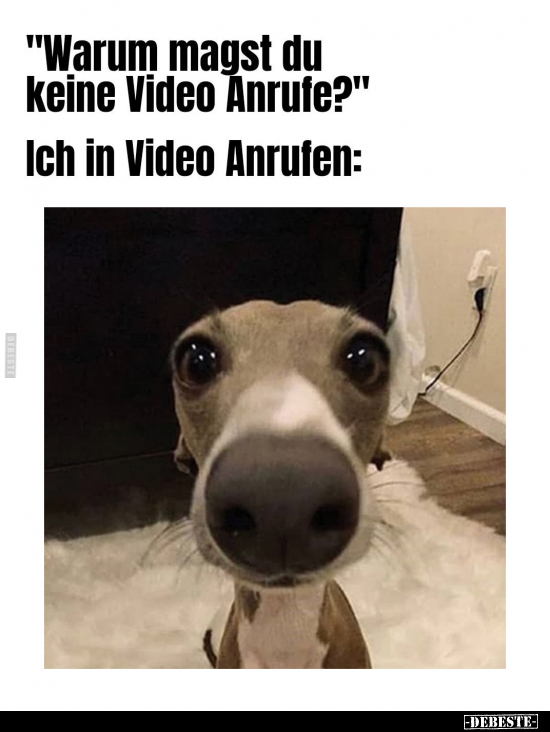 "Warum magst du keine Video Anrufe?".. - Lustige Bilder | DEBESTE.de