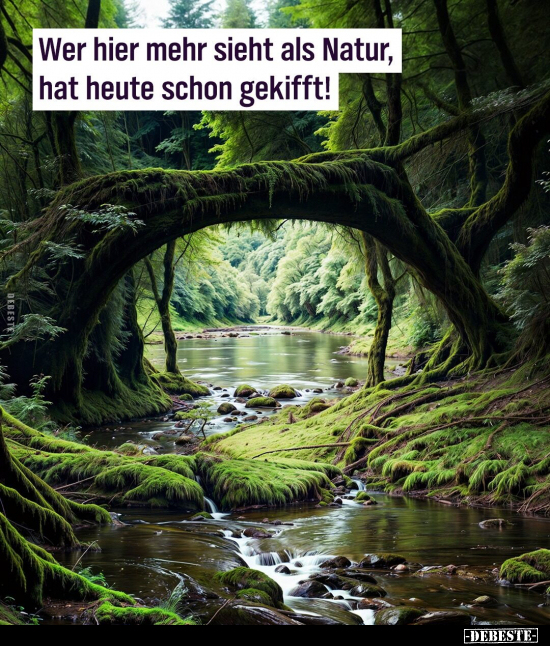 Wer hier mehr sieht als Natur, hat heute schon gekifft!.. - Lustige Bilder | DEBESTE.de