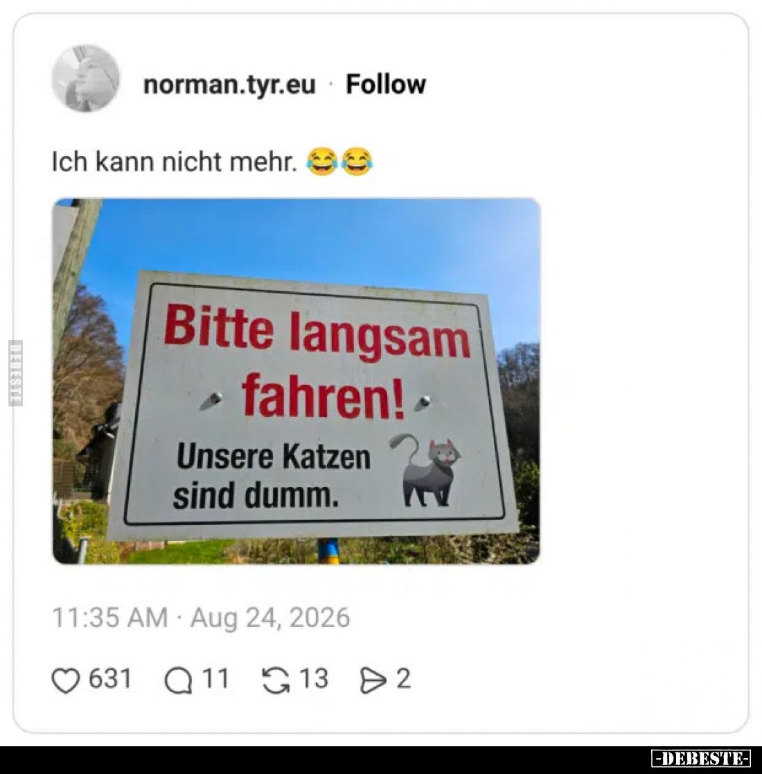 Bitte langsam fahren! 
 Unsere Katzen sind dumm.