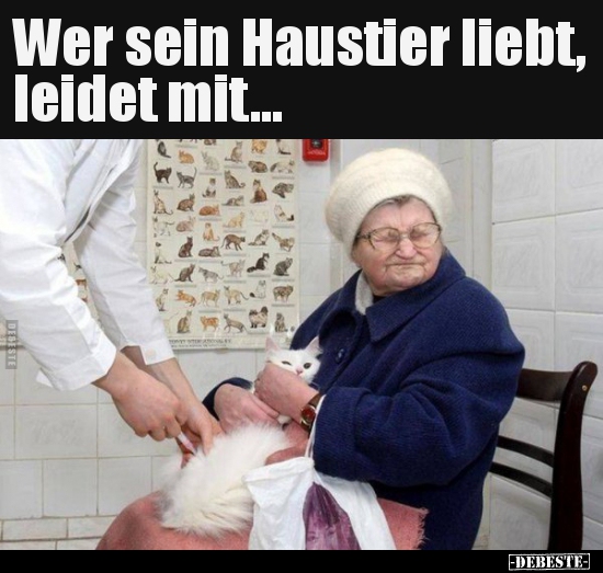 Wer sein Haustier liebt, leidet mit... - Lustige Bilder | DEBESTE.de