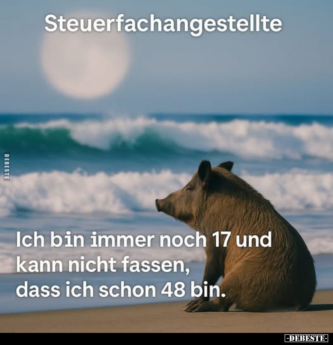 Steuerfachangestellte.
Ich bin immer noch 17 und kann nicht fassen, dass ich schon 48 bin.