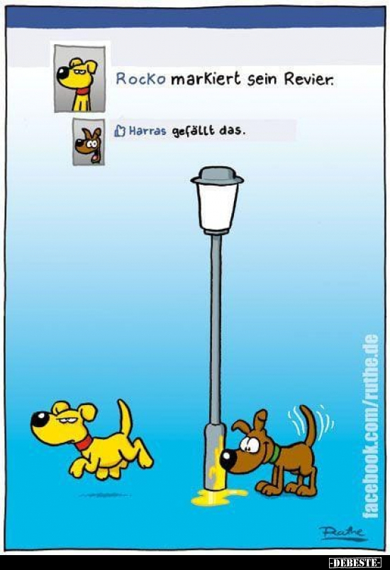 Rocko markiert sein Revier...