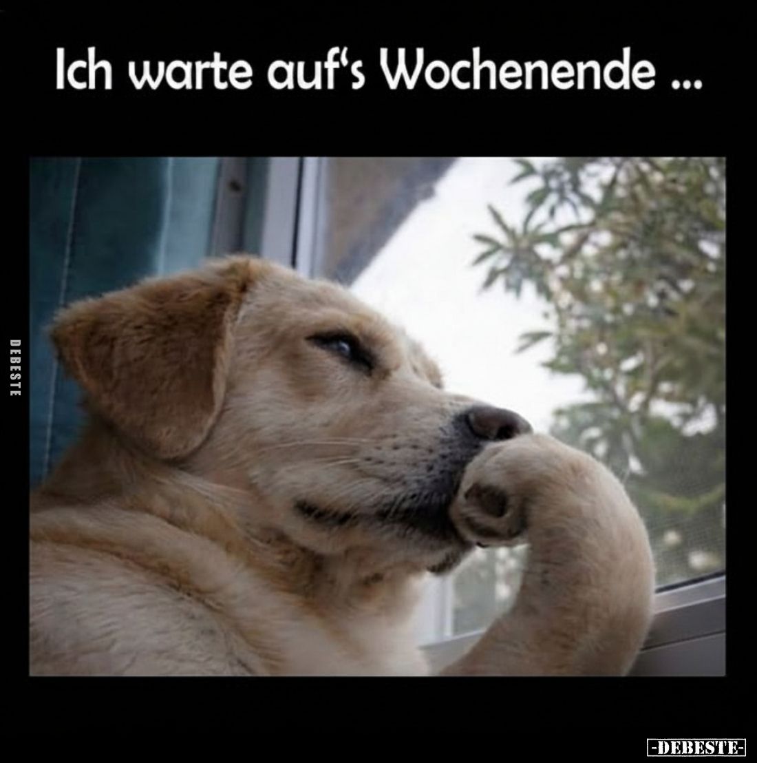 Ich warte auf's Wochenende... - Lustige Bilder | DEBESTE.de