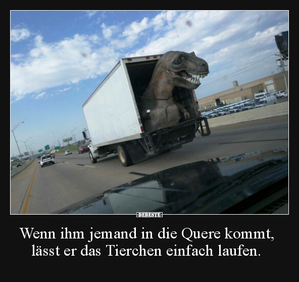 Wenn ihm jemand in die Quere kommt, lässt er das Tierchen.. - Lustige Bilder | DEBESTE.de