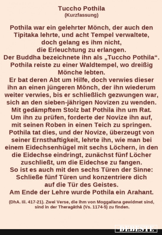 Tuccho Pothila - Kurzfassung - Lustige Bilder | DEBESTE.de