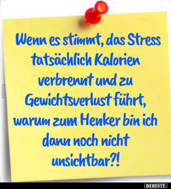 Wenn es stimmt, das Stress tatsächlich Kalorien verbrennt.. - Lustige Bilder | DEBESTE.de