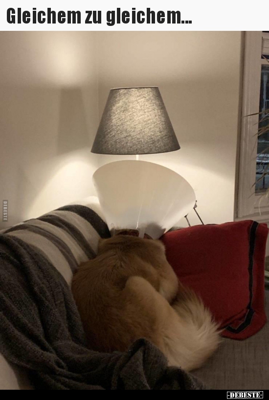 Gleichem zu gleichem...