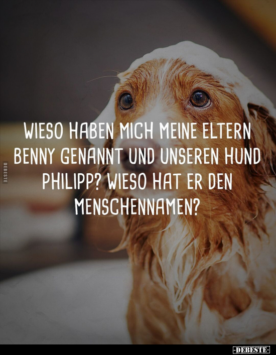 Eltern, Namen, Menschen, Hund