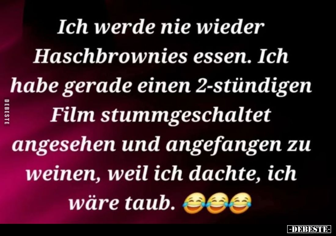 Ich werde nie wieder Haschbrownies essen. Ich habe gerade einen 2-stündigen Film stummgeschaltet angesehen und angefangen zu ...