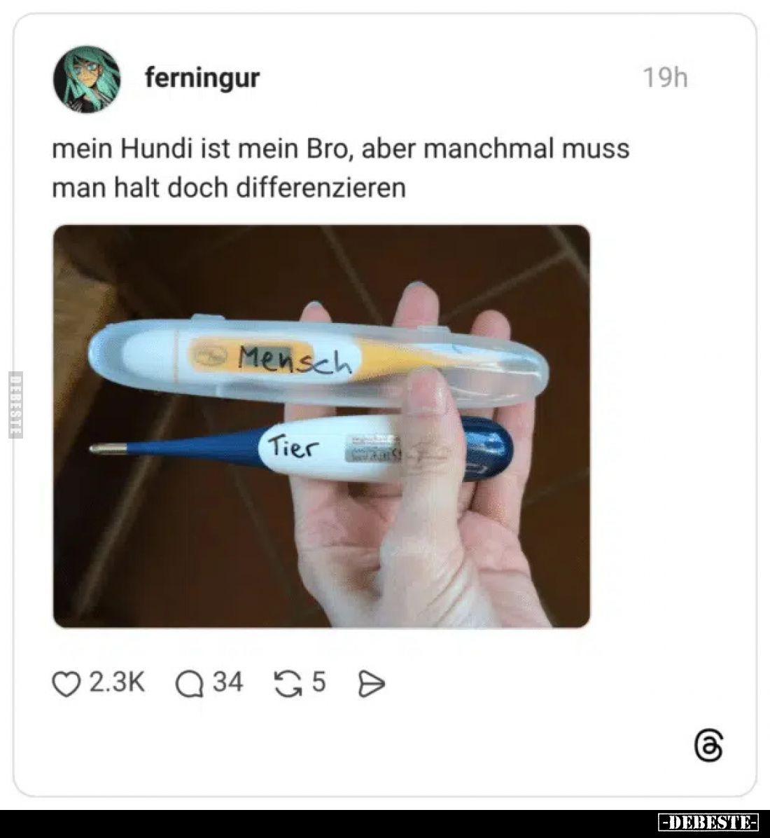 mein Hundi ist mein Bro, aber manchmal muss man halt doch differenzieren