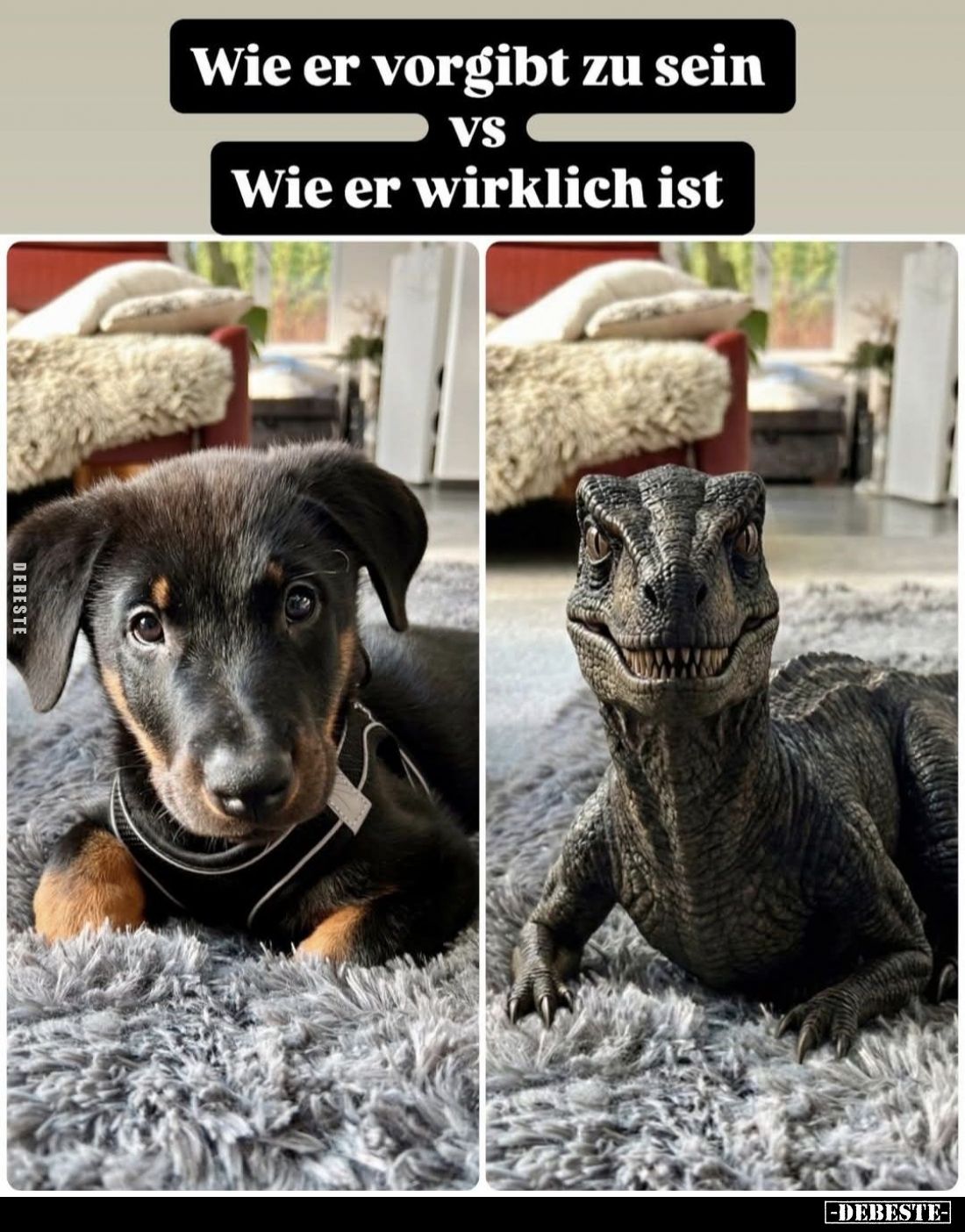  - Lustige Bilder | DEBESTE.de