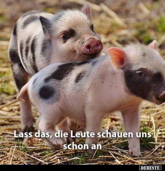 Lass das, die Leute schauen uns schon an..