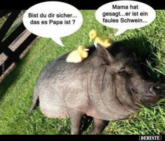 Papa, Mama, Schwein