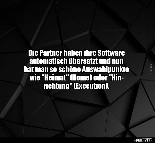 Die Partner haben ihre Software automatisch übersetzt und.. - Lustige Bilder | DEBESTE.de