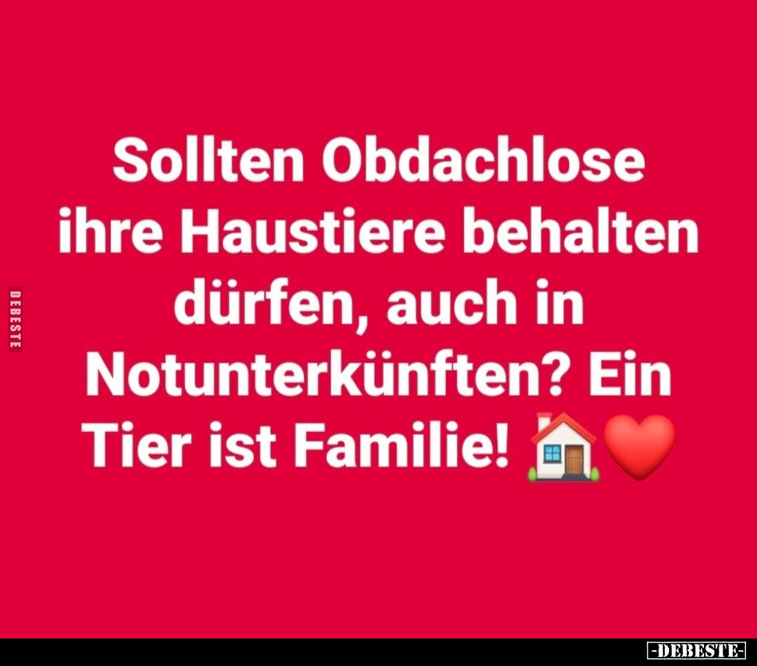 Sollten Obdachlose ihre Haustiere behalten dürfen, auch in Notunterkünften? Ein Tier ist Familie!