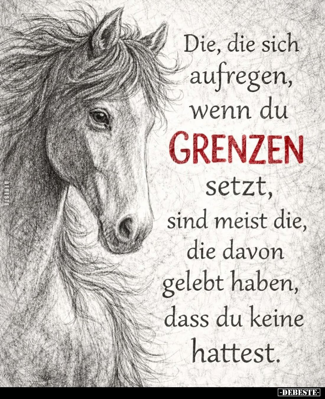 Die, die sich aufregen, wenn du
GRENZEN
setzt, sind meist die, die davon gelebt haben, dass du keine hattest.