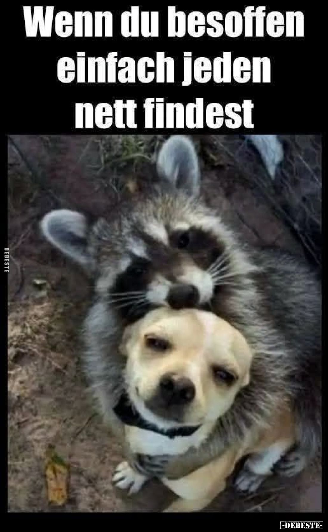 Wenn du besoffen
einfach jeden nett findest.