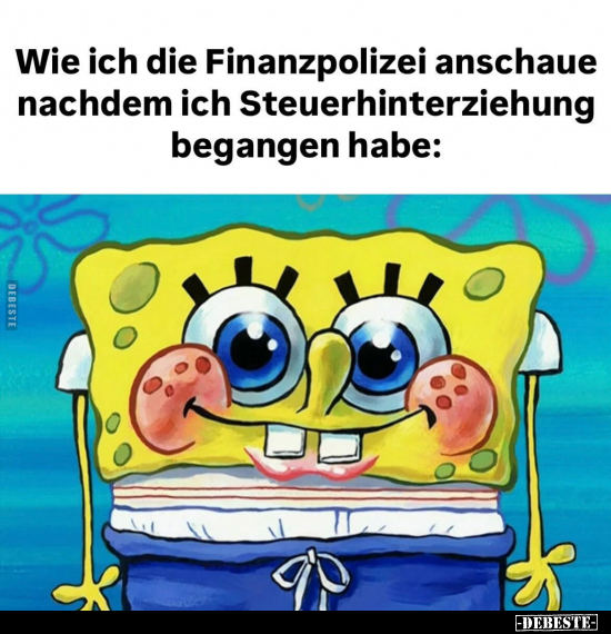 Wie ich die Finanzpolizei anschaue nachdem ich.. - Lustige Bilder | DEBESTE.de