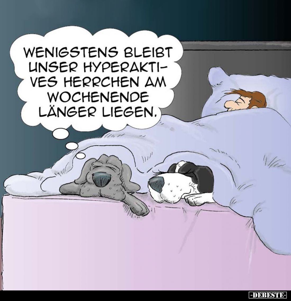 Wenigstens bleibt unser hyperaktives Herrchen am Wochenende länger liegen.