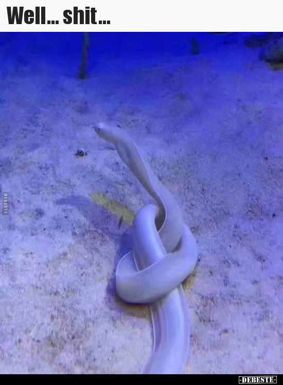 Well... shit...