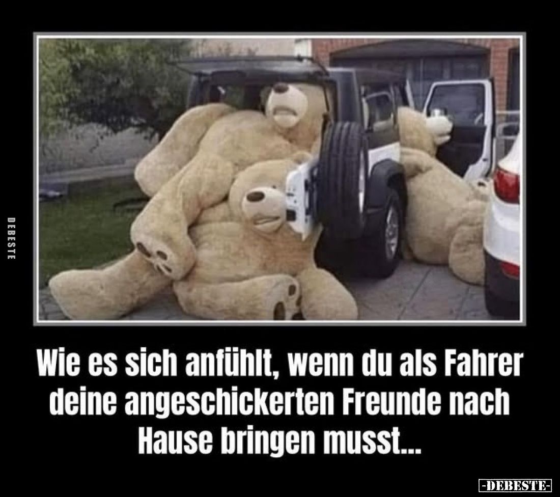 Wie es sich anfühlt, wenn du als Fahrer deine angeschickerten Freunde nach Hause bringen musst...
