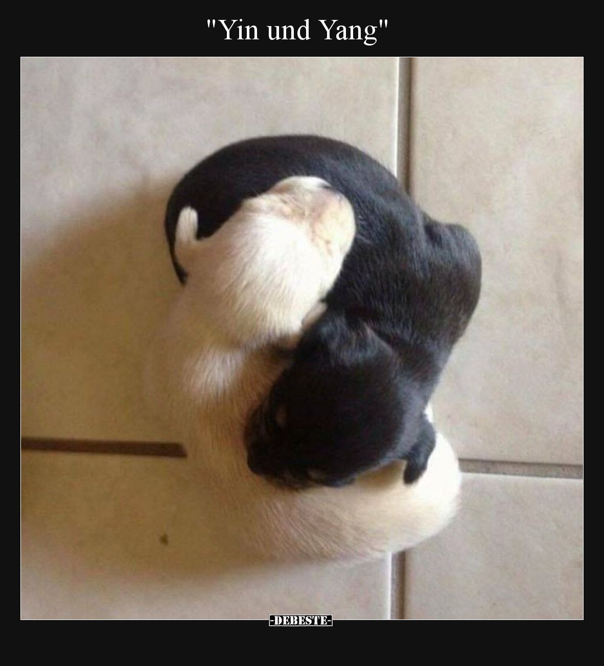Yin und Yang
