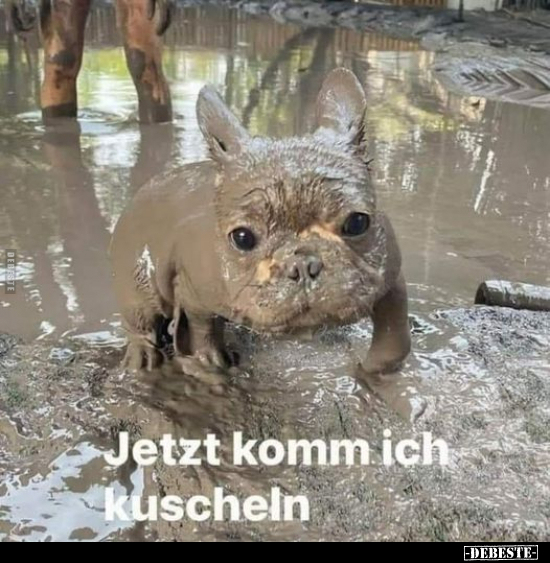 Jetzt komm ich kuscheln.