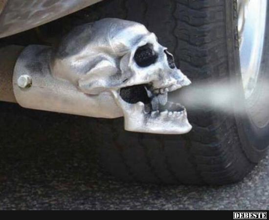  - Lustige Bilder | DEBESTE.de