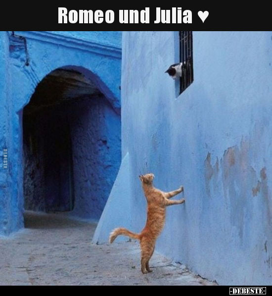 Romeo und Julia.. - Lustige Bilder | DEBESTE.de