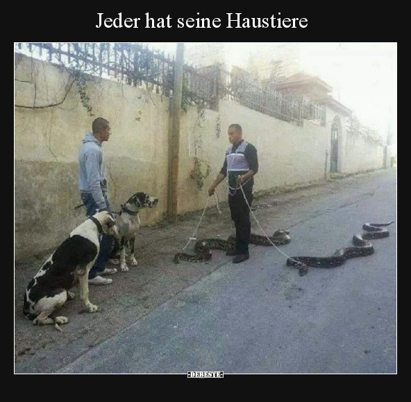 Jeder hat seine Haustiere.. - Lustige Bilder | DEBESTE.de