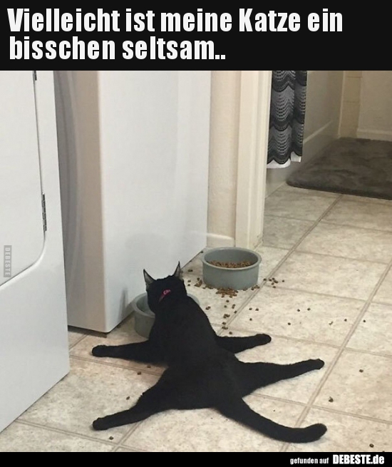 Vielleicht ist meine Katze ein bisschen seltsam..