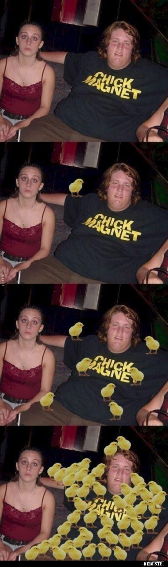 Chick Magnet