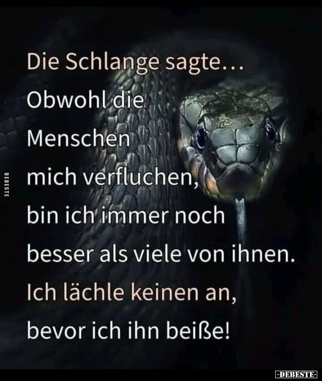 Die Schlange sagte...
Obwohl die Menschen mich verfluchen, bin ich immer noch besser als viele von ihnen.
Ich lächle keinen...