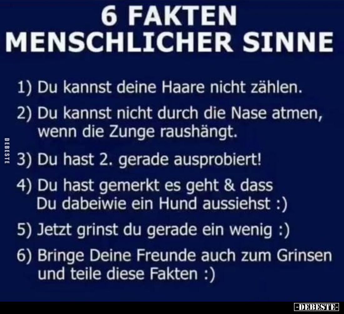 6 Fakten menschlicher Sinne
1) Du kannst deine Haare nicht zählen.
2) Du kannst nicht durch die Nase atmen, wenn die Zunge ...