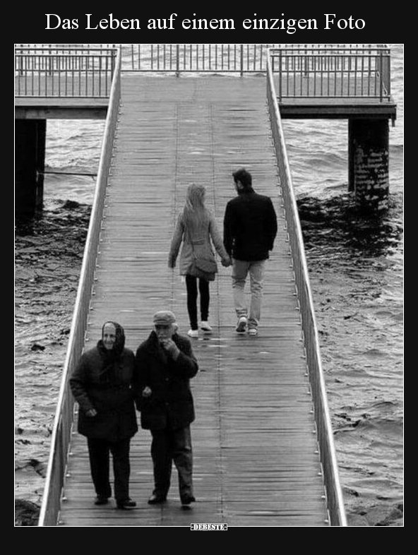 Das Leben auf einem einzigen Foto