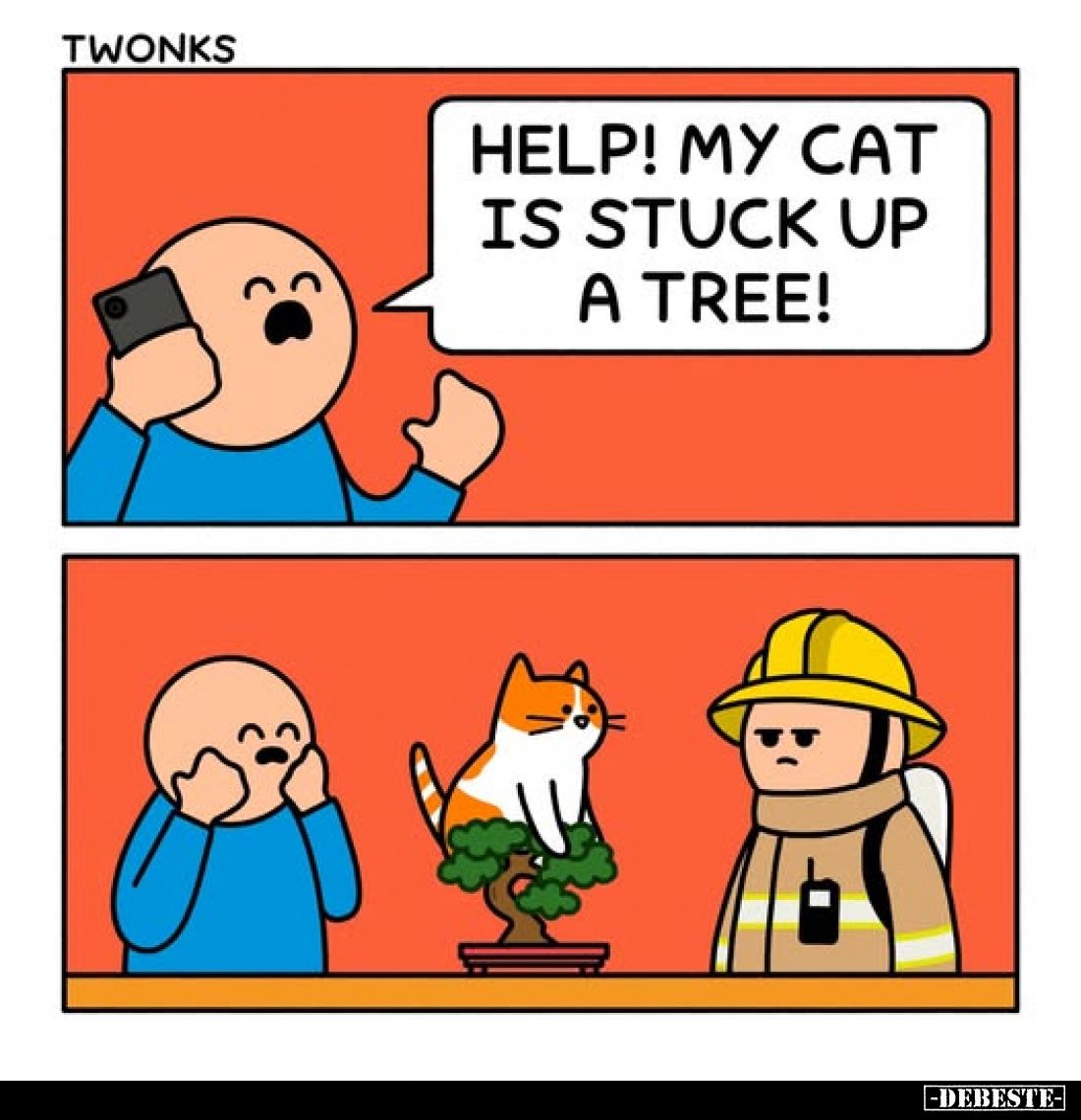 Help! My cat is stuck up a tree!