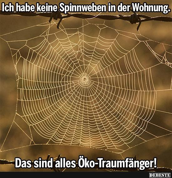  Ich habe keine Spinnweben in der Wohnung.. - Lustige Bilder | DEBESTE.de