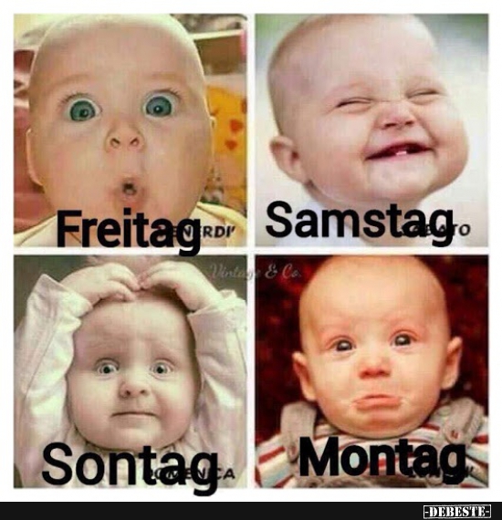 Freitag -> Samstag -> Sontag -> Montag. - Lustige Bilder | DEBESTE.de