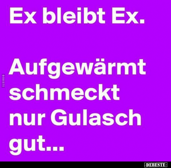 Ex bleibt Ex. Aufgewärmt schmeckt nur Gulasch gut... - Lustige Bilder | DEBESTE.de