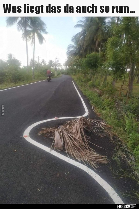 Was liegt das da auch so rum...