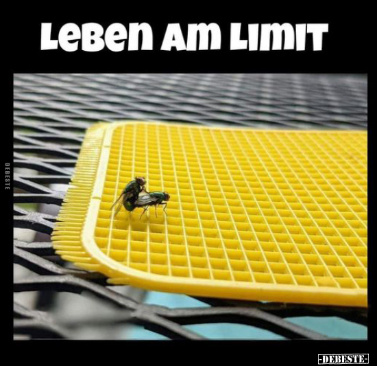 Leben am Limit.. - Lustige Bilder | DEBESTE.de