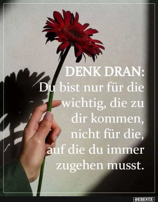 Blume - Lustige Bilder | DEBESTE.de