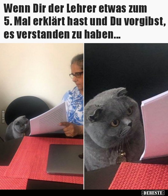 Wenn Dir der Lehrer etwas zum 5. Mal erklärt hast und Du.. - Lustige Bilder | DEBESTE.de